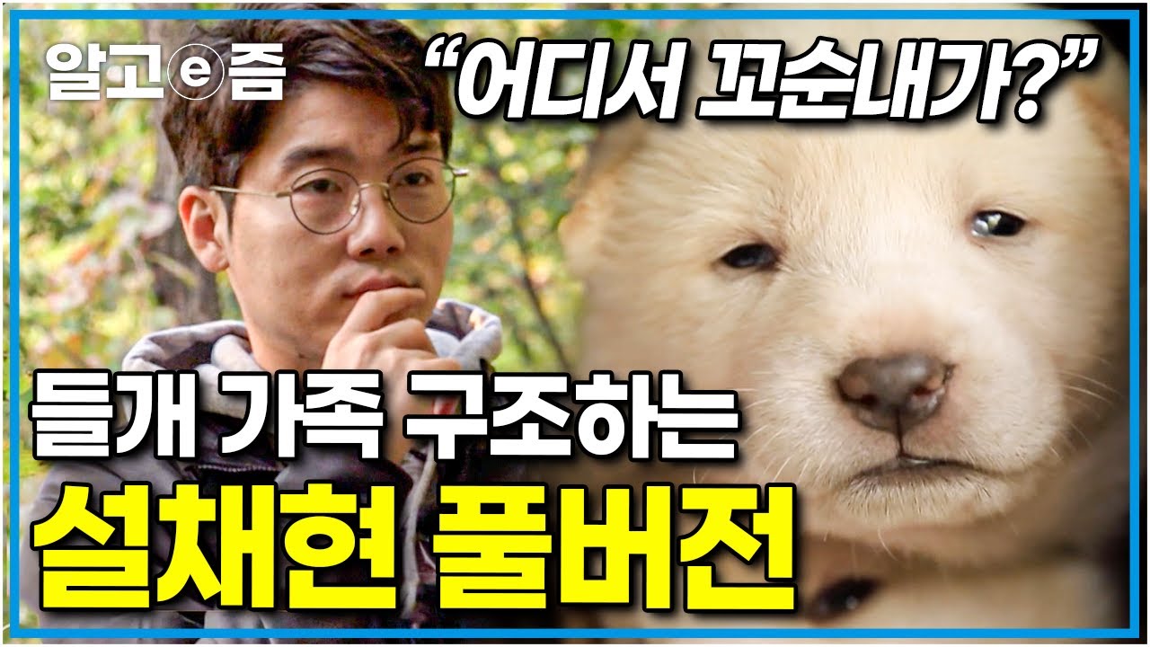 총 조회수 100만🎉 보는 이 모두를 긴장하게 만들었던 설쌤의 들개 가족 구조하는 현장 풀버전│세상에 나쁜 개는 없다│알고e즘