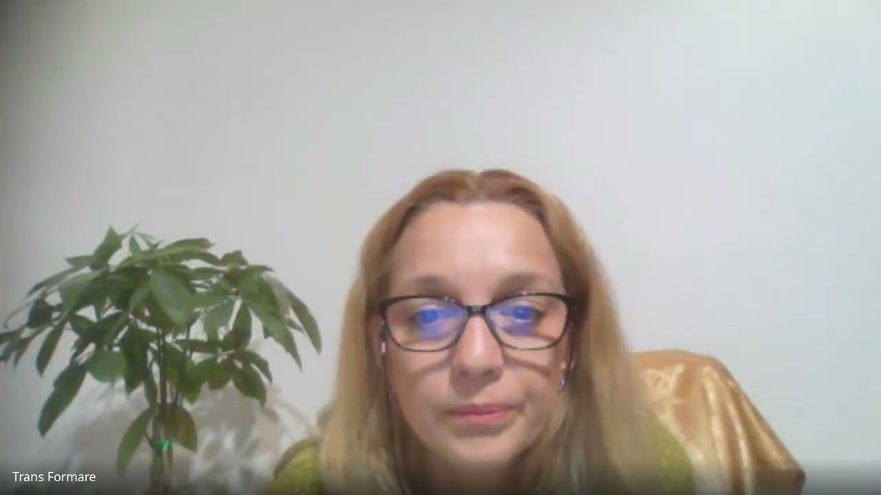 Ce ar insemna SEO AEO pe scurt- pentru colegii coach II