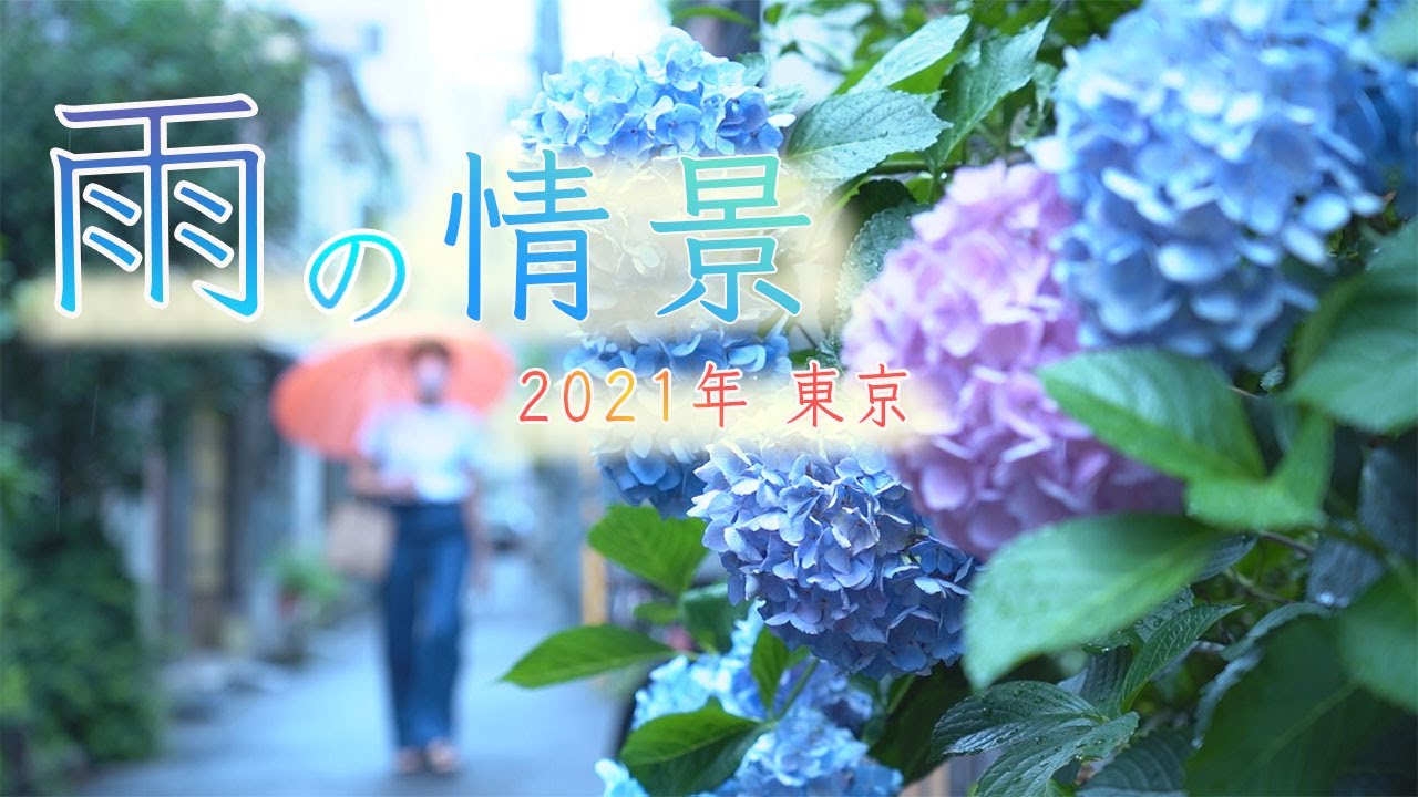 【カメラマン厳選】東京 雨の情景…コロナ禍 2回目の梅雨　テレ朝カメラマンが雨の東京をスケッチ (2021年7月16日)