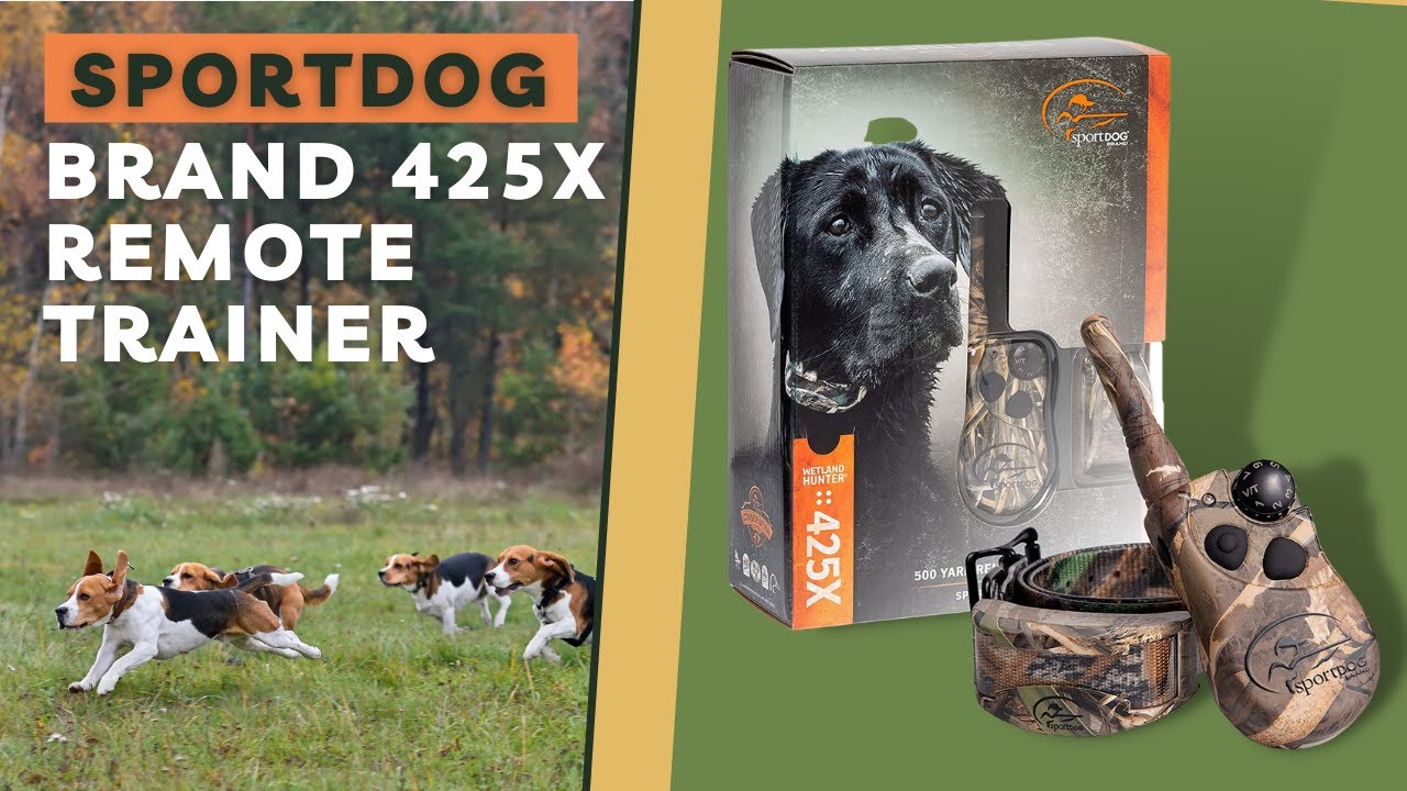 SportDOG Training Collar (425X Remote Trainer)