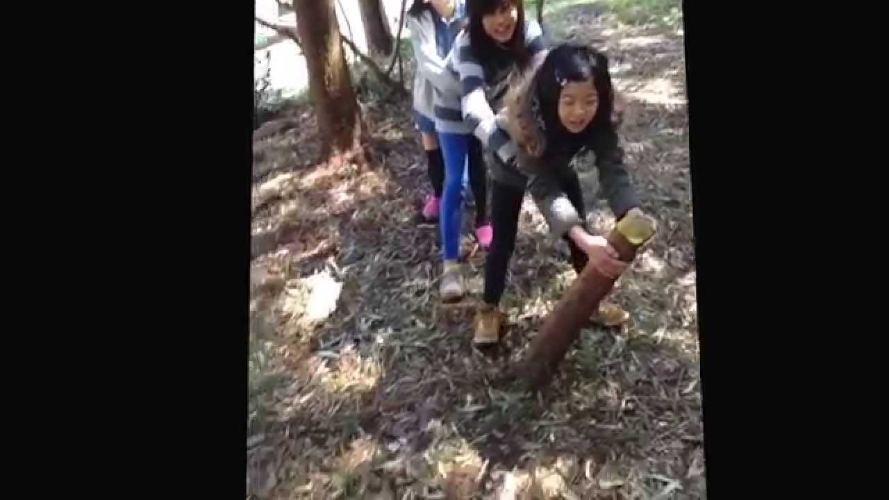 大きな株と戦う家族笑