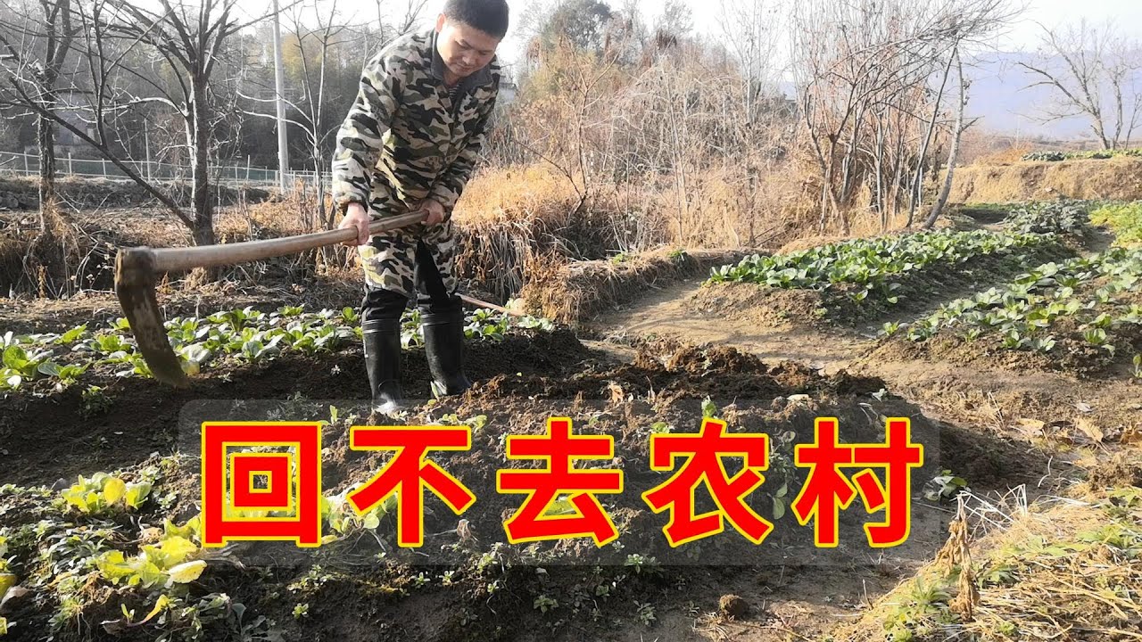 农村出身的我，回不去农村了 #农村生活 #单身 #親子生活 #life