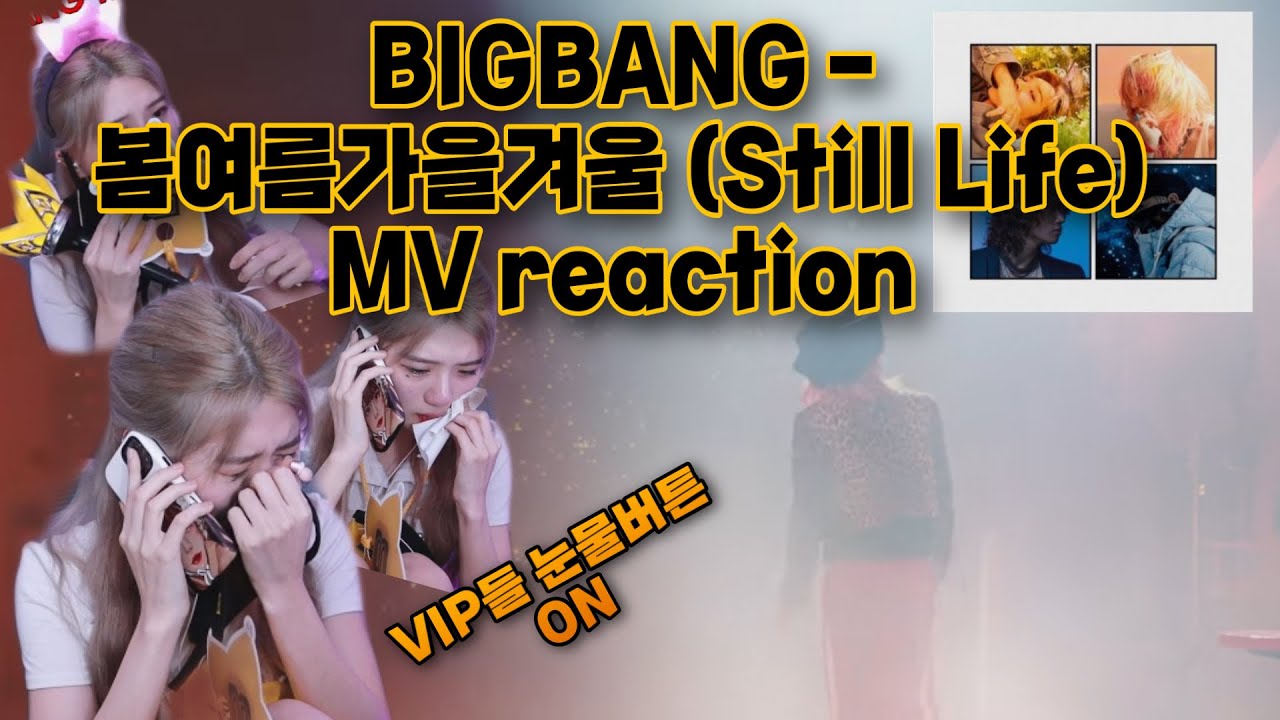 14년차 VIP의 빅뱅 봄여름가을겨울 MV 리액션 (오열주의) | bigbang still life mv reaction