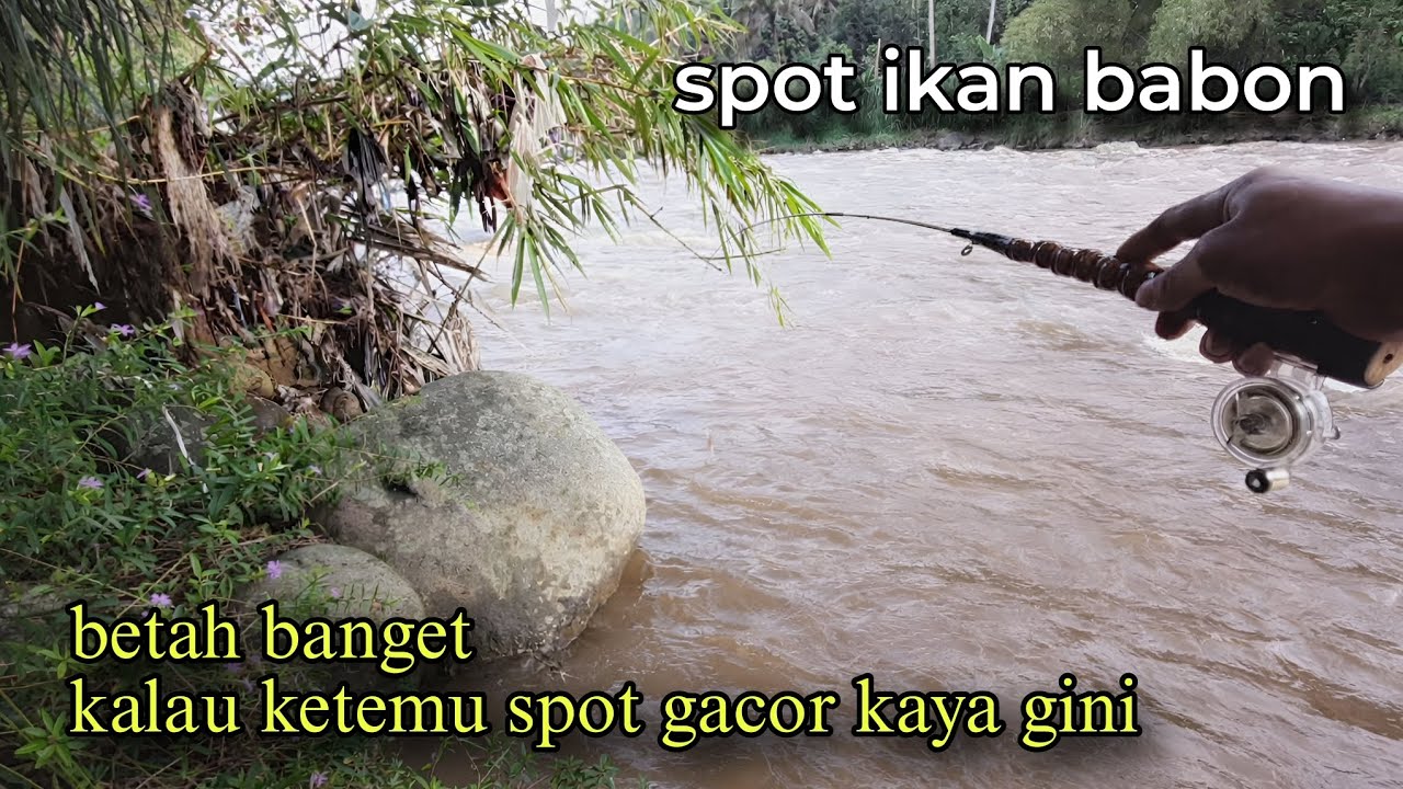 Banjir Tidak Menjadi Halangan...!!!,  Mancing Ikan Uceng Pas Air Banjir Masih Makan