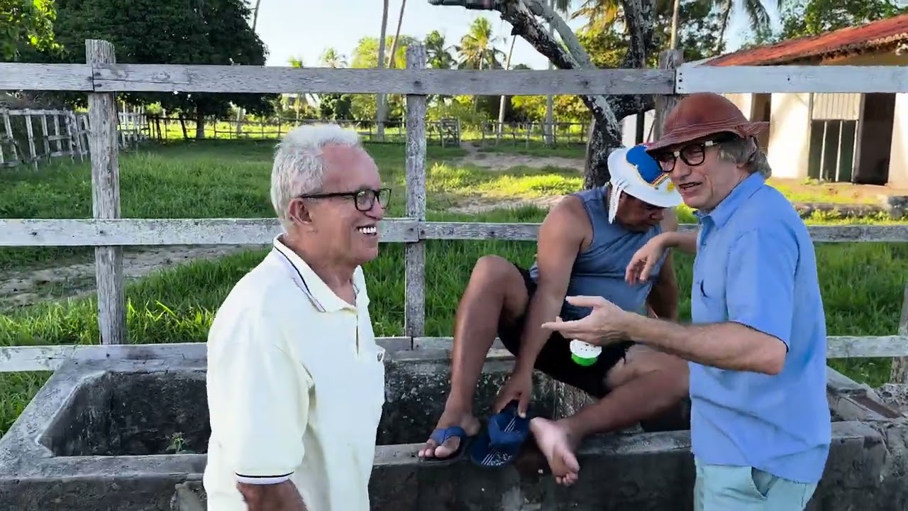MUÇÃO JOGOU ABELHA NO GALO