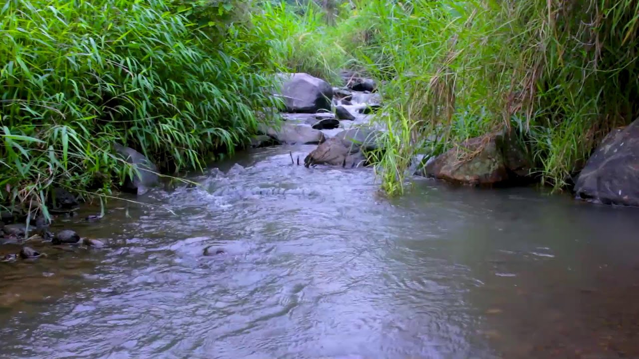 Gentle Mountain River Water | Calm Nature White Noise for Insomnia and Stress Relief