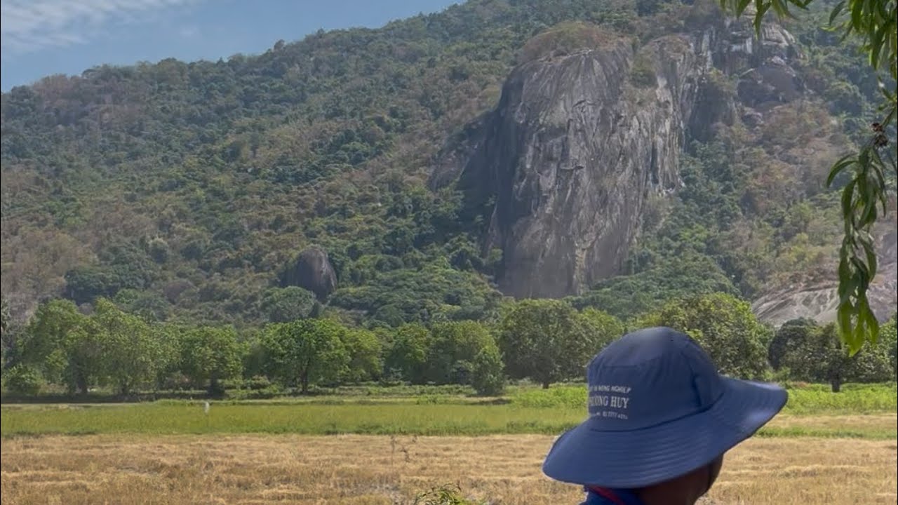 ngày 11 tháng 3, 2026