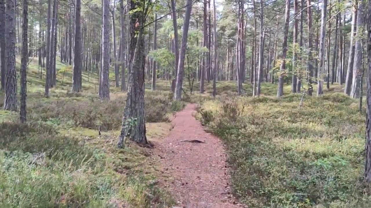 B&ouml;dakusten v&auml;stra