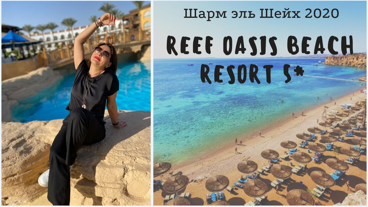 Обзор отеля Reef Oasis Beach Resort 5* - Египет, Шарм-Эль-Шейх