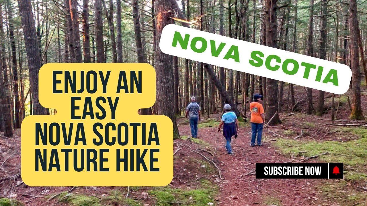 An easy nature hike near Bridgewater, Nova Scotia