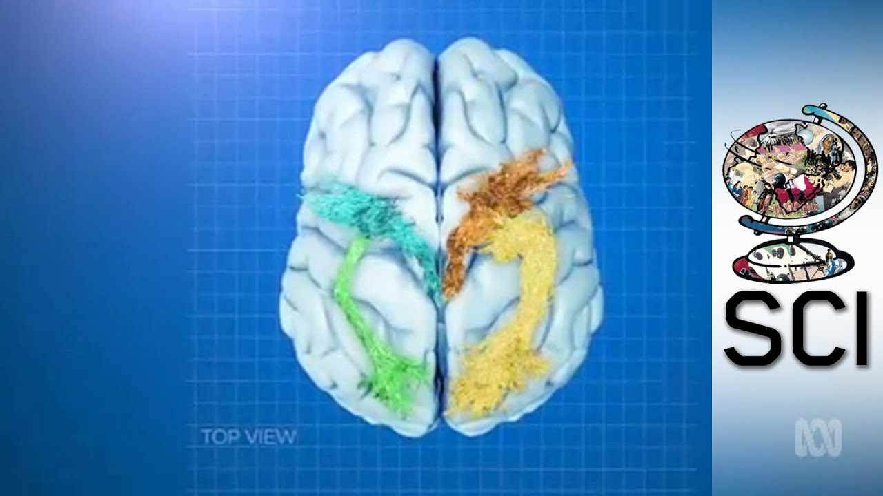 Cutting-Edge Treatment For Epileptic Seizures