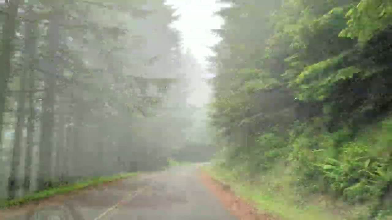 Drive up to Mary's Peak (time lapse)
