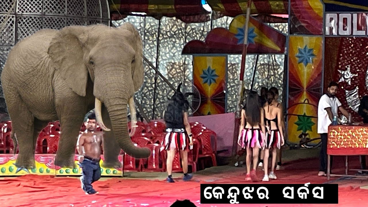 କେନ୍ଦୁଝର କୁ ଆସିଲା ସର୍କସ 🎪😱 Keonjhar Circus | Rolex Circus  #circus 🎪 Keonjhar Circus 2024 ||