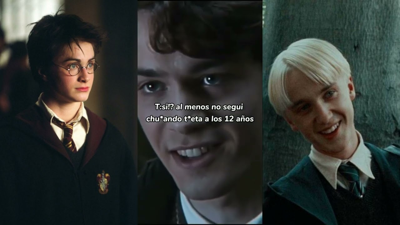 tik toks de hogwarts, Harry Potter y T/N #1