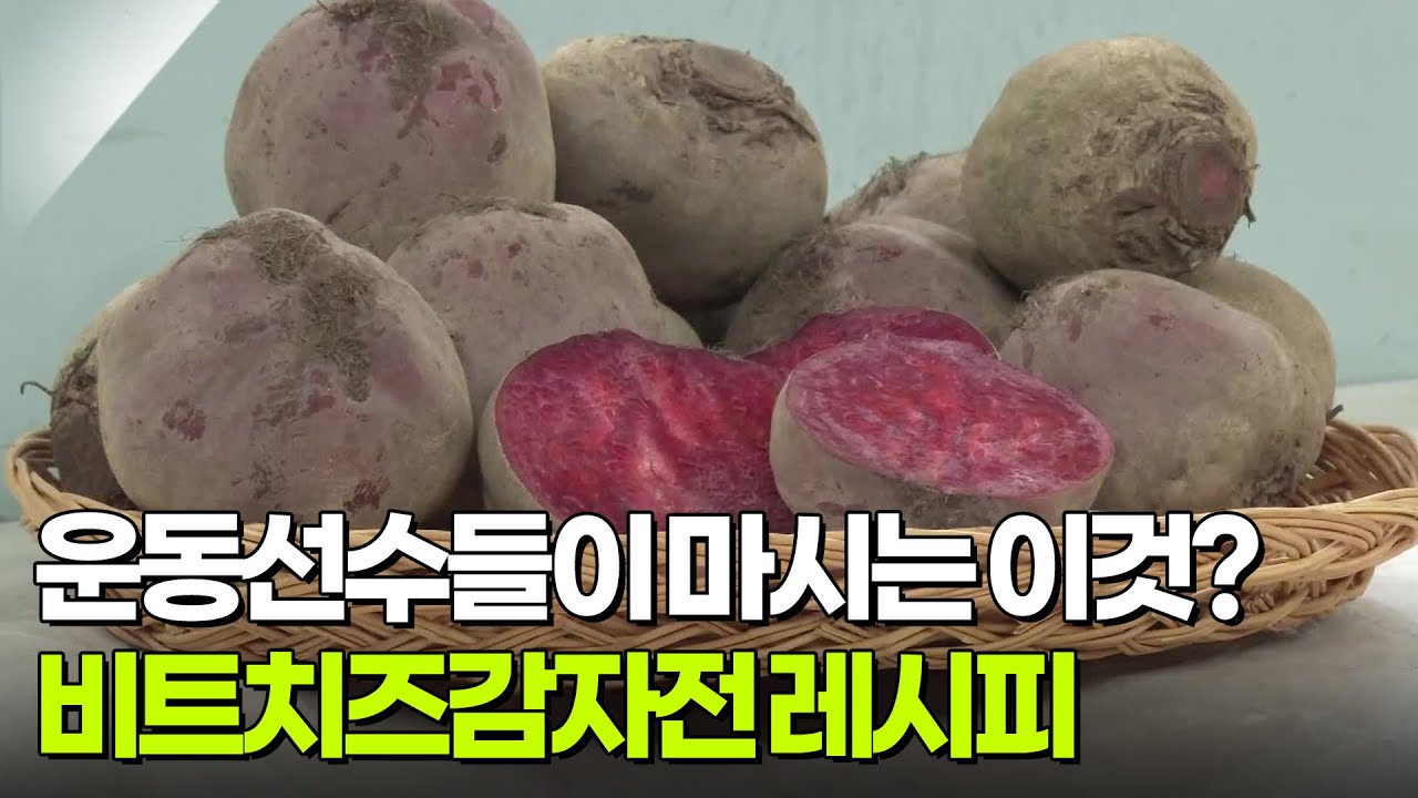 [티벗쇼, 고향 밥상] 운동선수들이 경기 전 먹는 이것? 비트치즈감자전 레시피 [무엇이든 물어보세요] | KBS 260226 방송