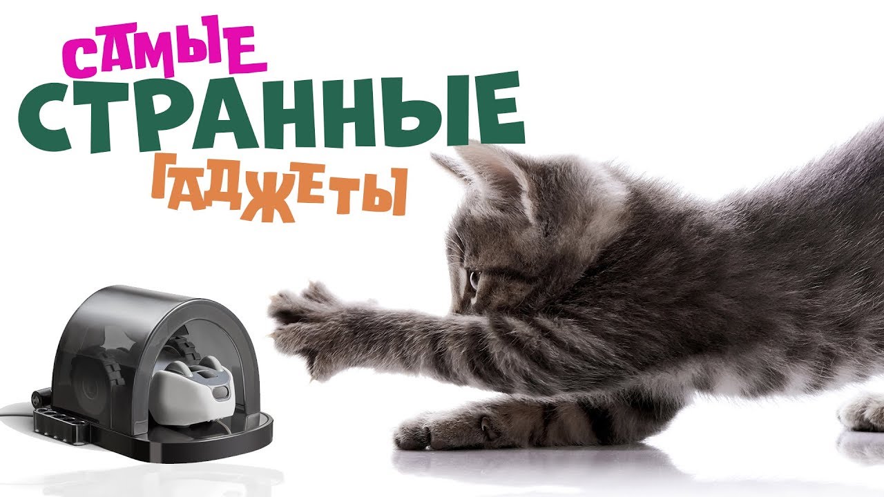 Самые странные гаджеты 2018