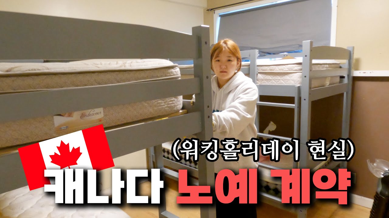 [캐나다 5일만에 지역이동] (캐나다 집값/워홀 면접 질문/밴프/레이크루이스/워킹홀리데이 면접 후기)