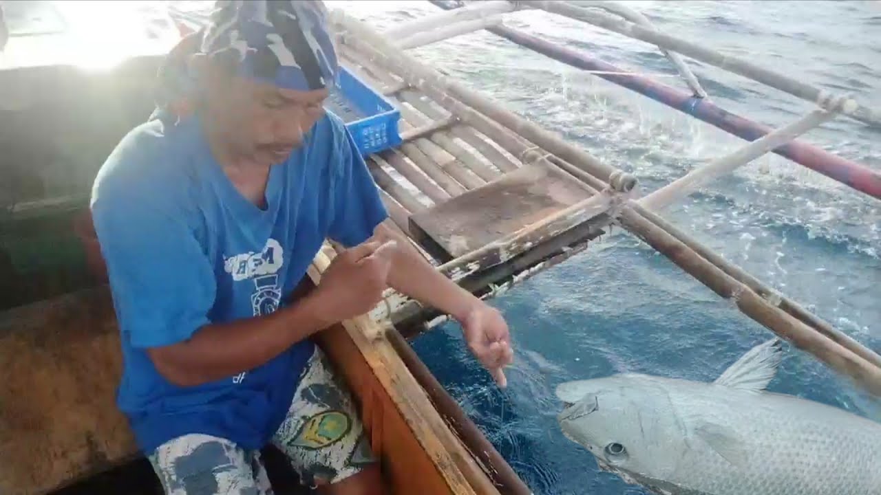 Pwersahan kung magtakbo ang malaking isda na ito | idol CHARLIE