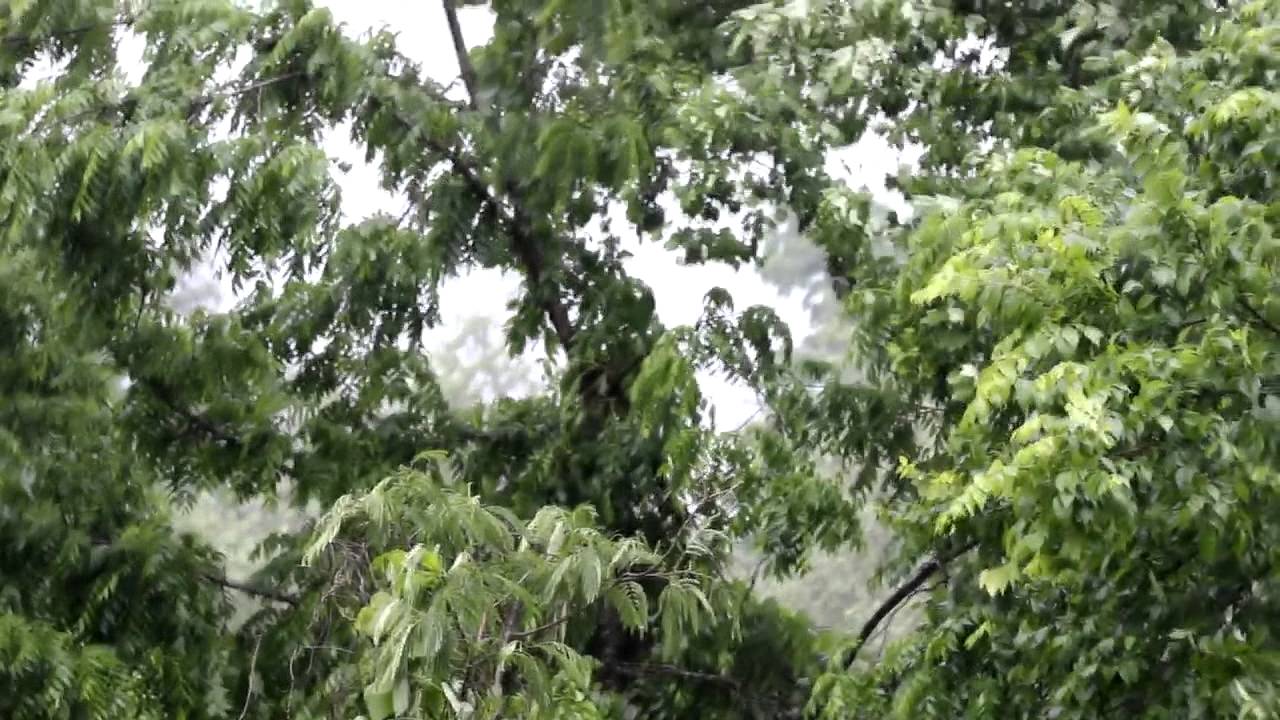 RKM - 009 // simulated precipitation stage [part 1]