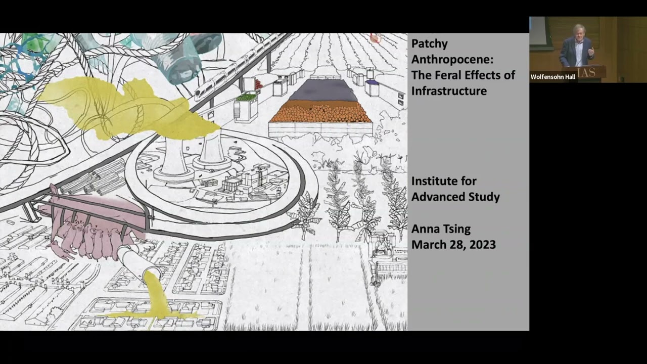 Patchy Anthropocene: The Feral Impacts of Infrastructure - Anna Tsing