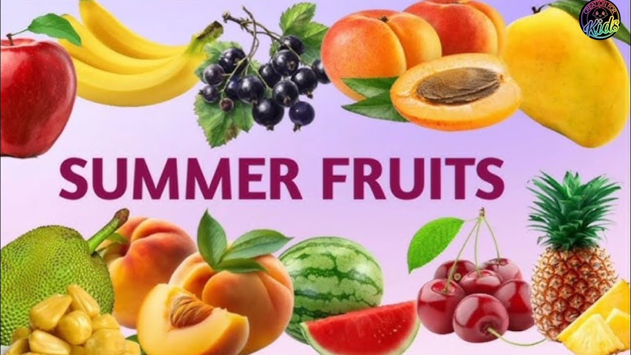 Summer Fruits | Summer Fruit Name For Kids | Creation For Kids
