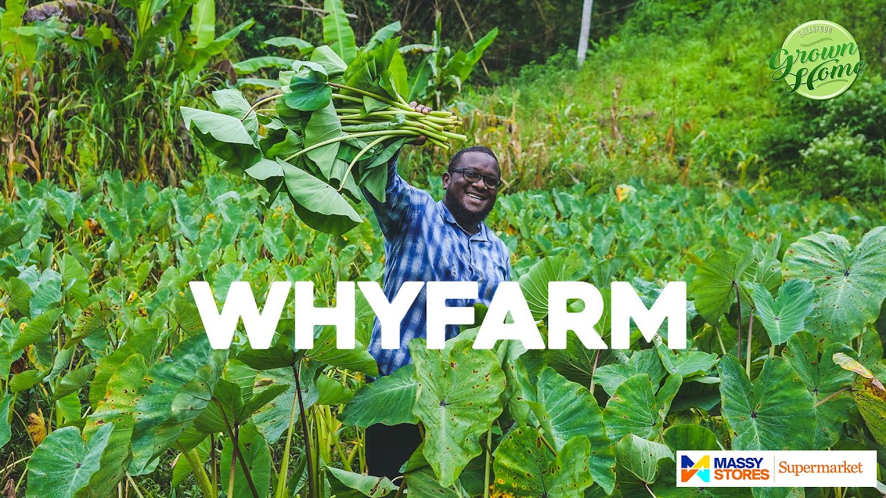 Visit to Whyfarm in Siparia, Trinidad & Tobago. Promoting Agriculture, Agri-Business & Food Security