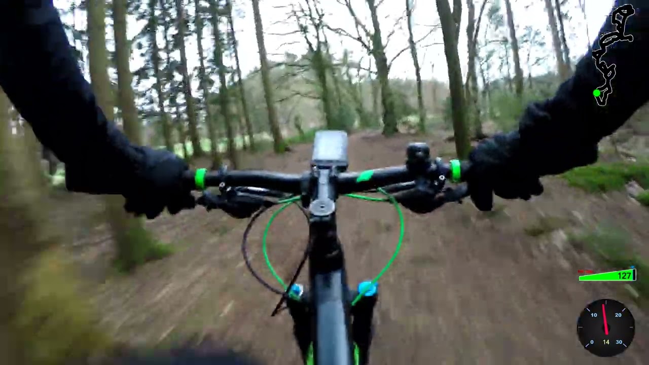 Impressie rondje bos en hei in Het Gooi