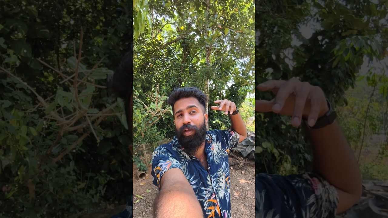 after a long time | travel vlog | driving | kerala tourist bus