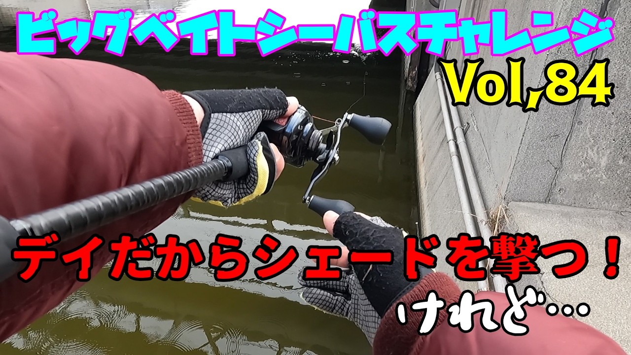 【ビッグベイトシーバスチャレンジ Vol,84】シェードを狙え！