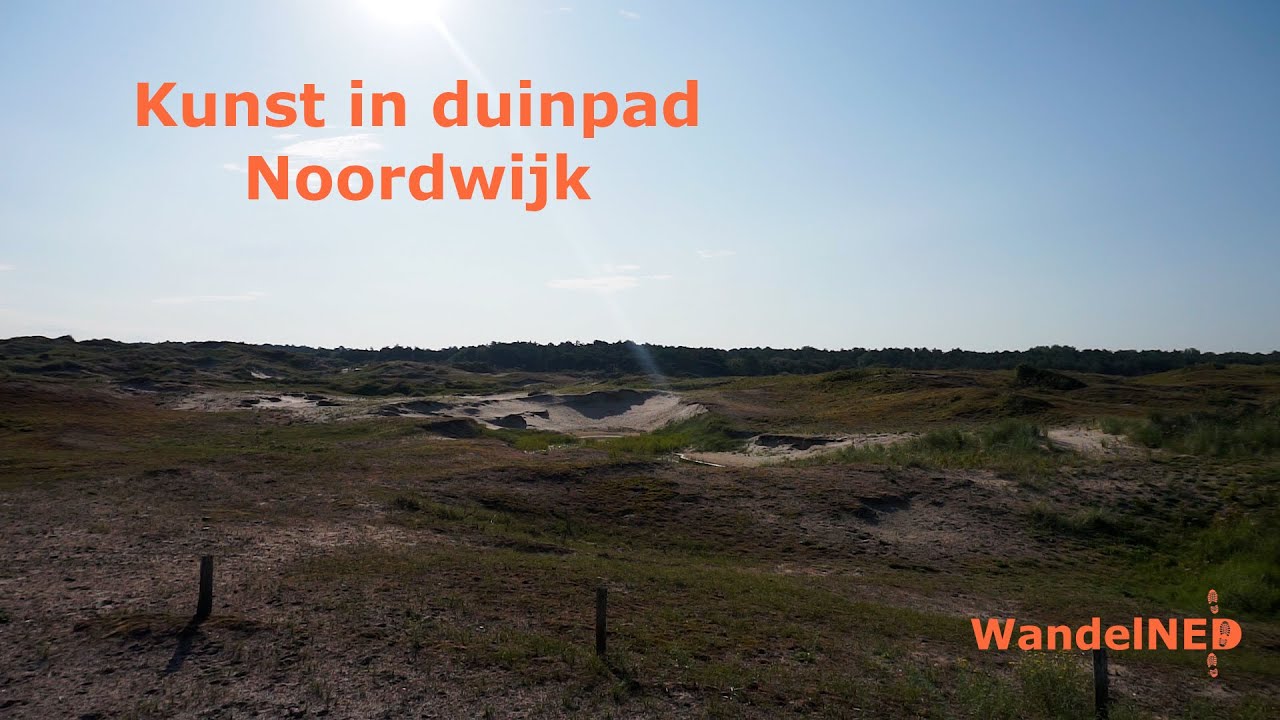Kunst in duinpad | Noordwijk | 4,2km | Wandeling door de duinen | #5