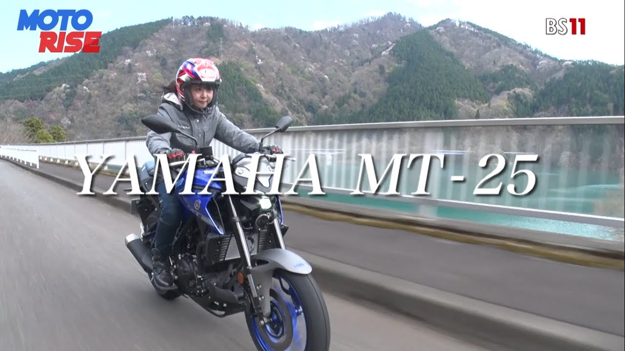 【Honda Rebel 250】【YAMAHA MT-25】バイク試乗インプレッション