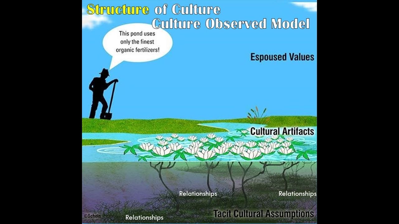 Structure of CULTURE with Dr. Edgar Schein and Peter Schein