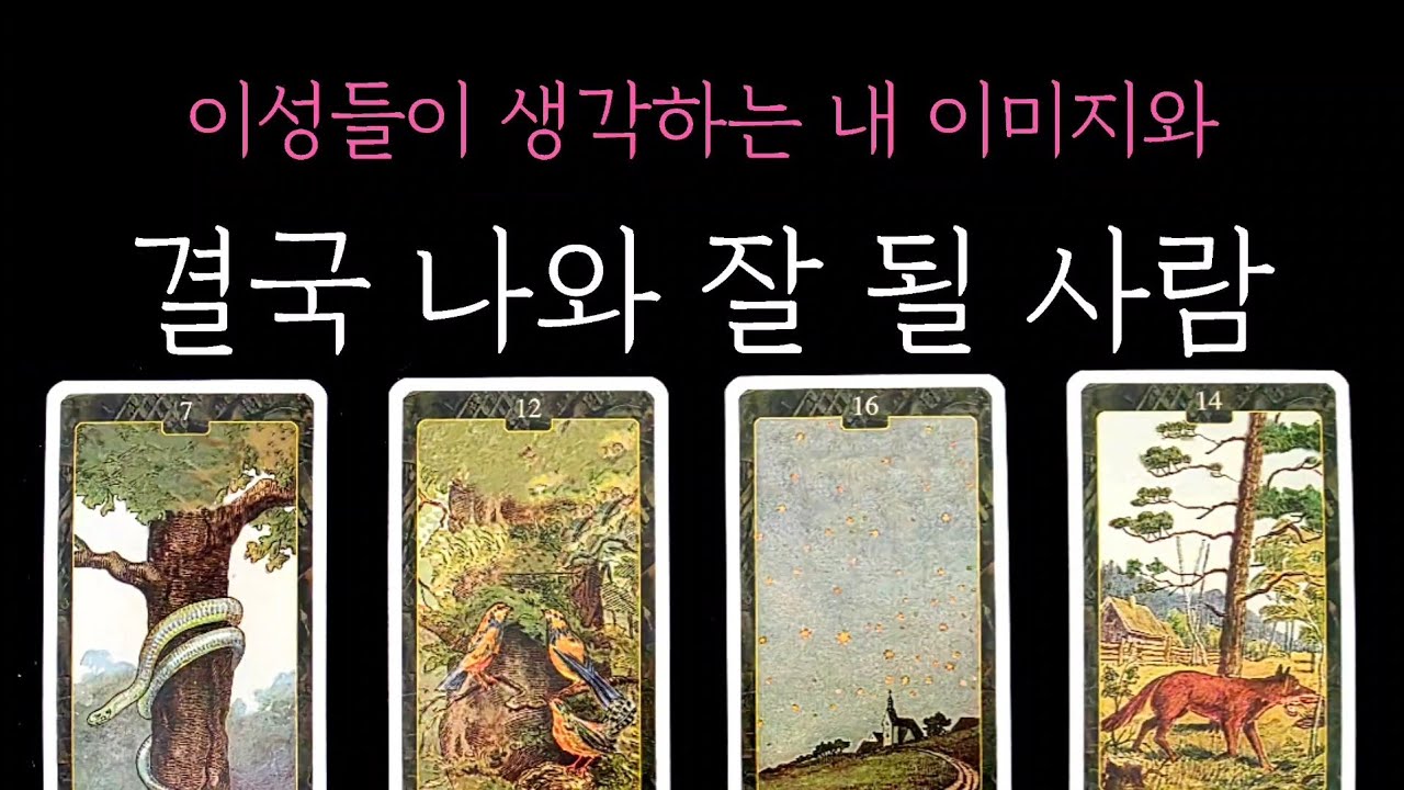 [타로] 이성들이 생각하는 내 이미지와 결국 나와 잘 될 사람