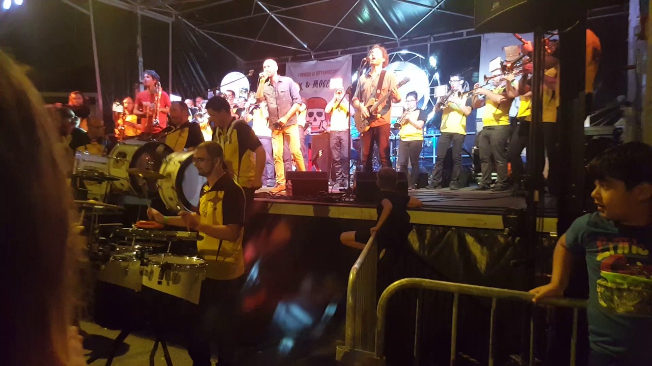 bandas les musiciens de grasla et les kangourous