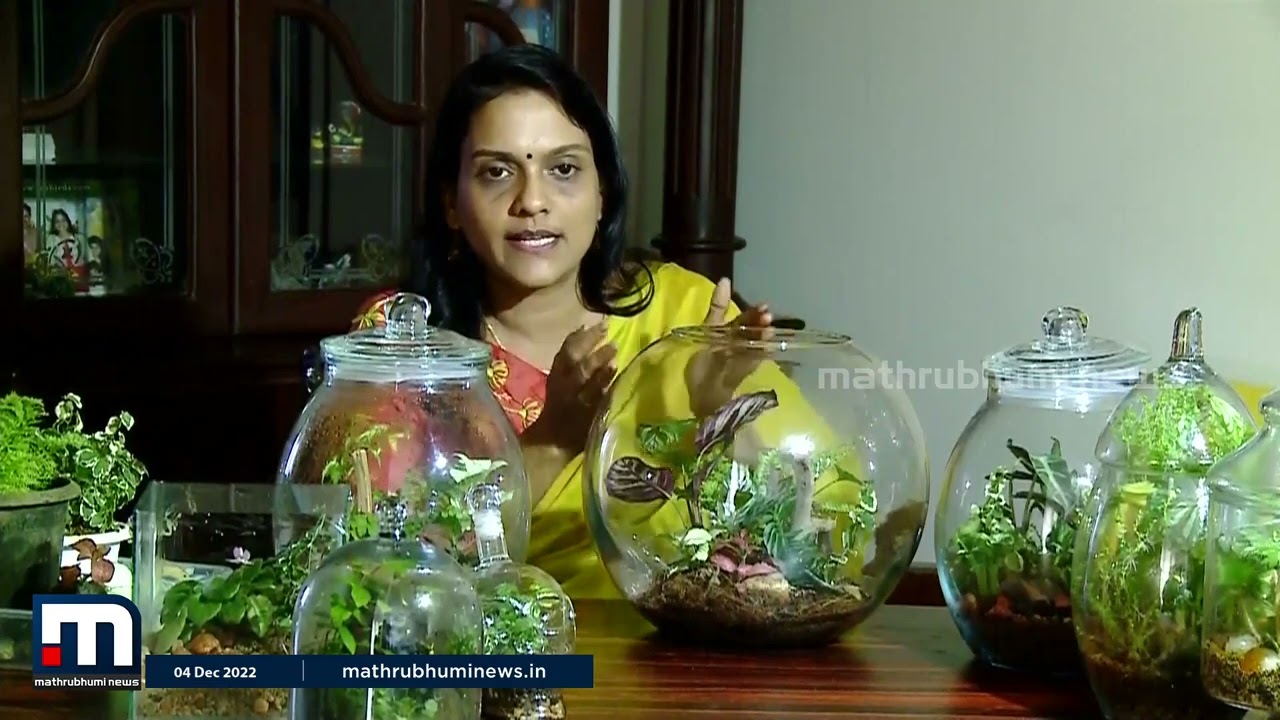 എളുപ്പത്തില്‍ ടെറേറിയം നിര്‍മിക്കാം, അറിയേണ്ടതെല്ലാം | Terrarium | Krishibhoomi | Mathrubhumi News