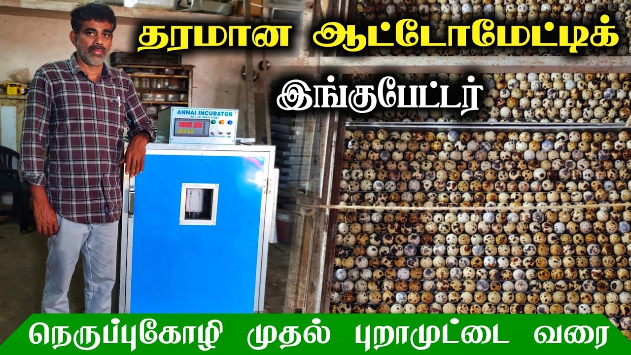 🥚அனைத்து வகையான இங்குபேட்டரும் கிடைக்கும்! 60 முட்டை முதல் 30 ஆயிரம் முட்டை வரை!