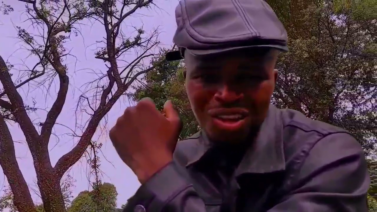 Smiselo 2025 promo part 1