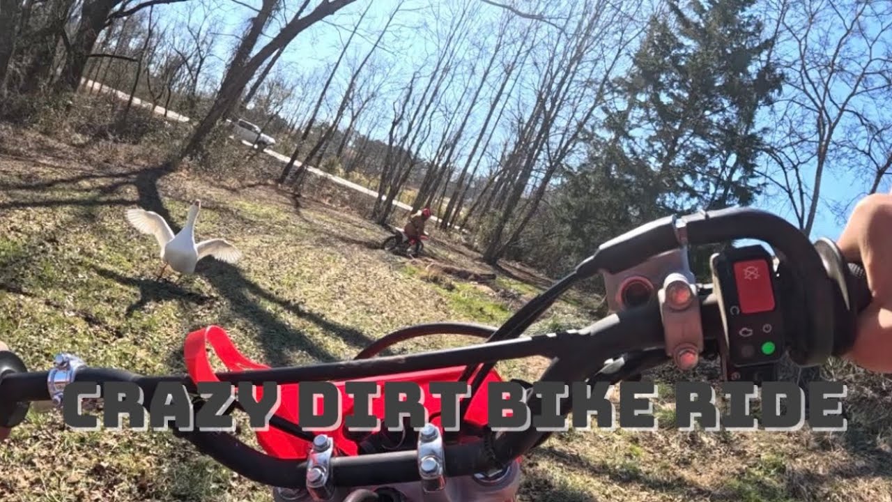 Crazy dirt bike ride with goose ￼