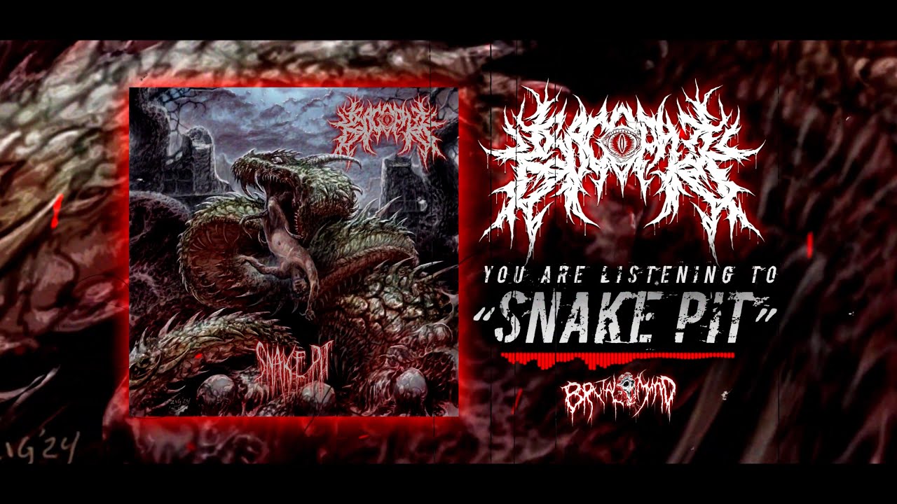 KROCOPHILE - SNAKE PIT (FT. MATS FUNDERUD) [OFFICIAL VISUALIZER] (2024) SW EXCLUSIVE