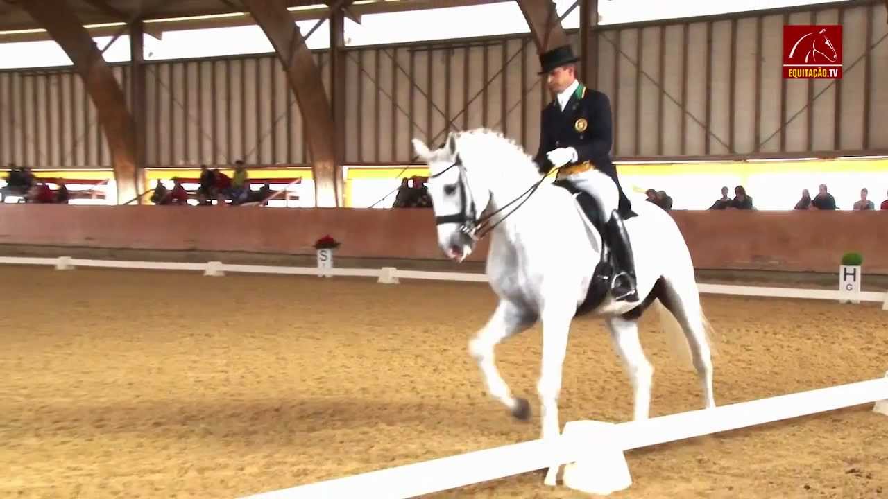 EQ ACTUALIDADE -  Miguel Ralão/Zaire - Final da Taça de Portugal de Dressage 2012