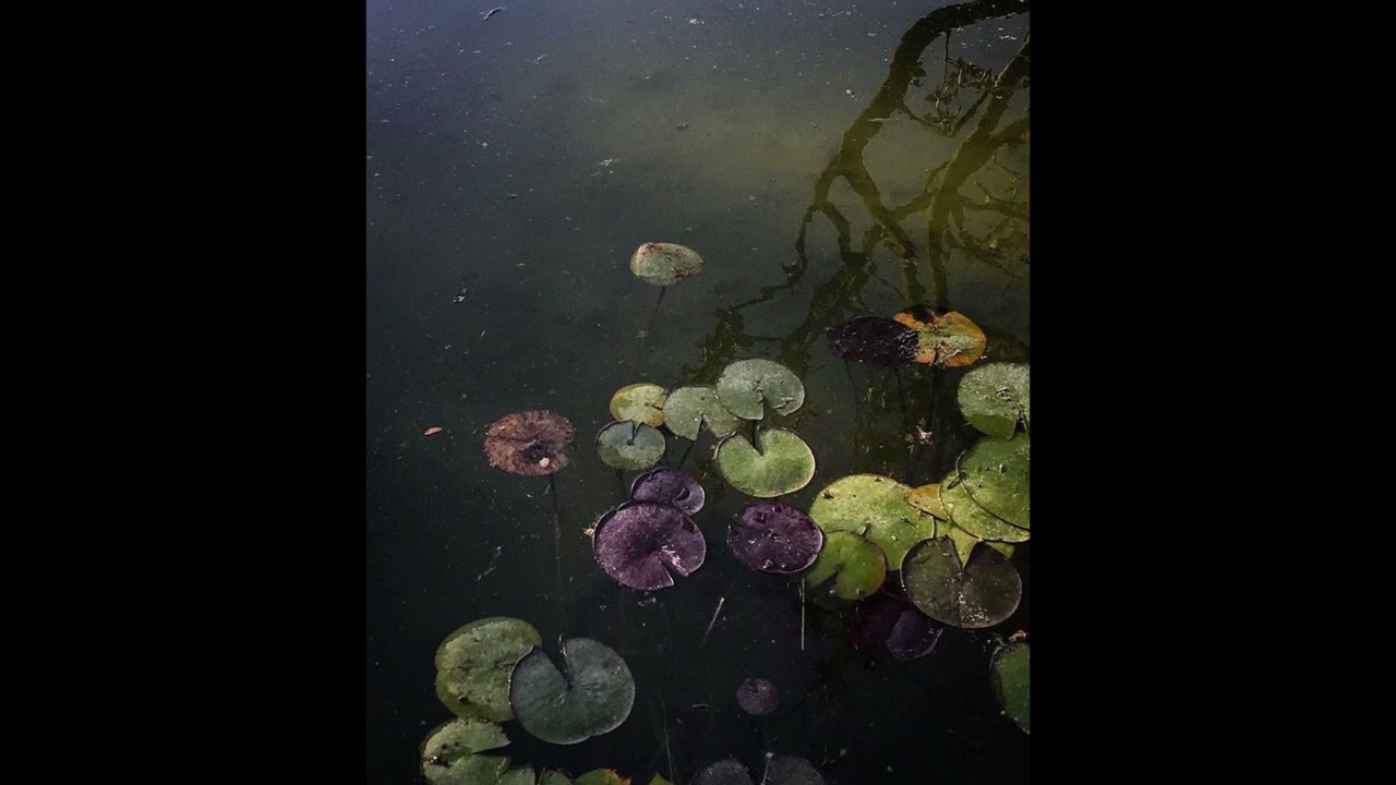 drumless alchemist x freddie gibbs type beat - summer love