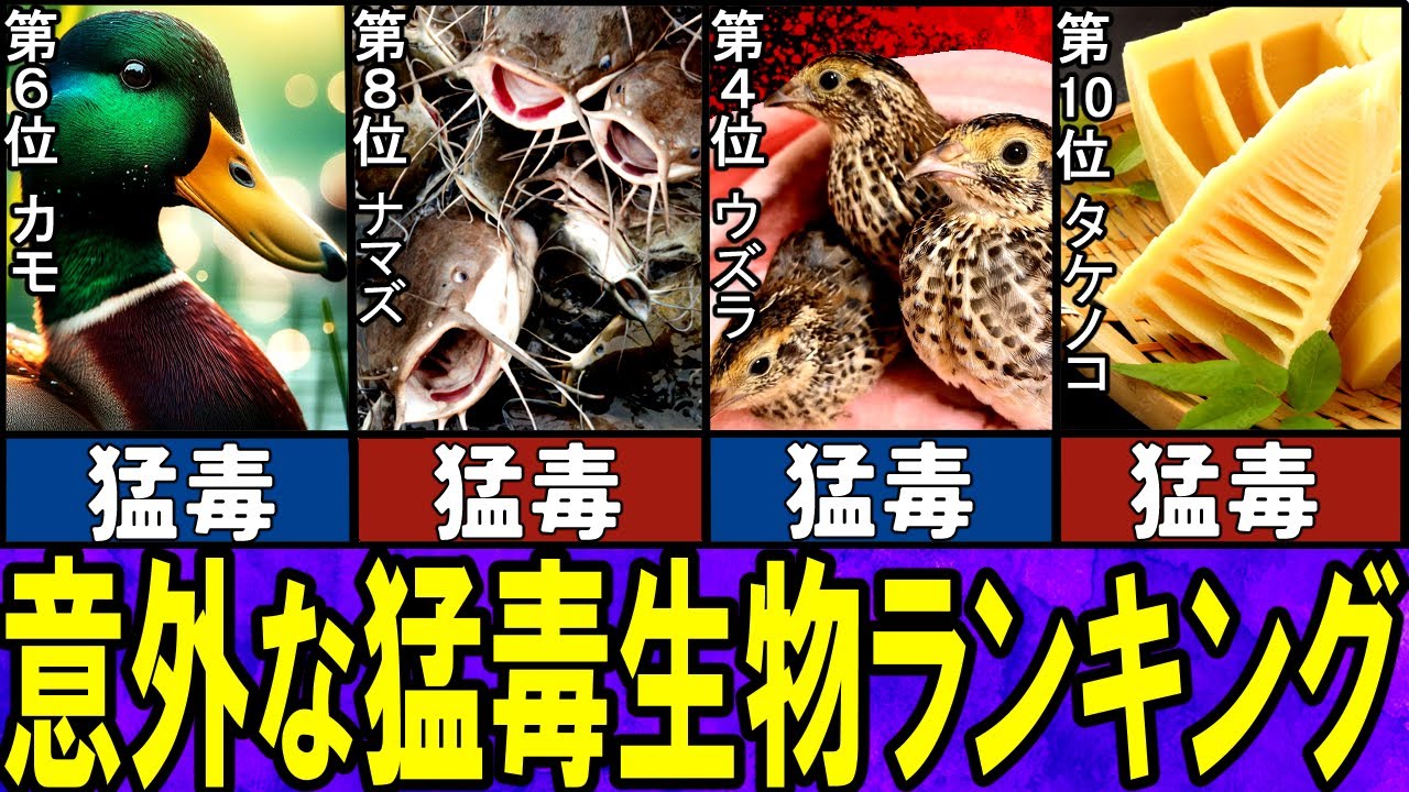 【閲覧注意】実は猛毒がある意外な生物 TOP10【ゆっくり解説】【総集編】