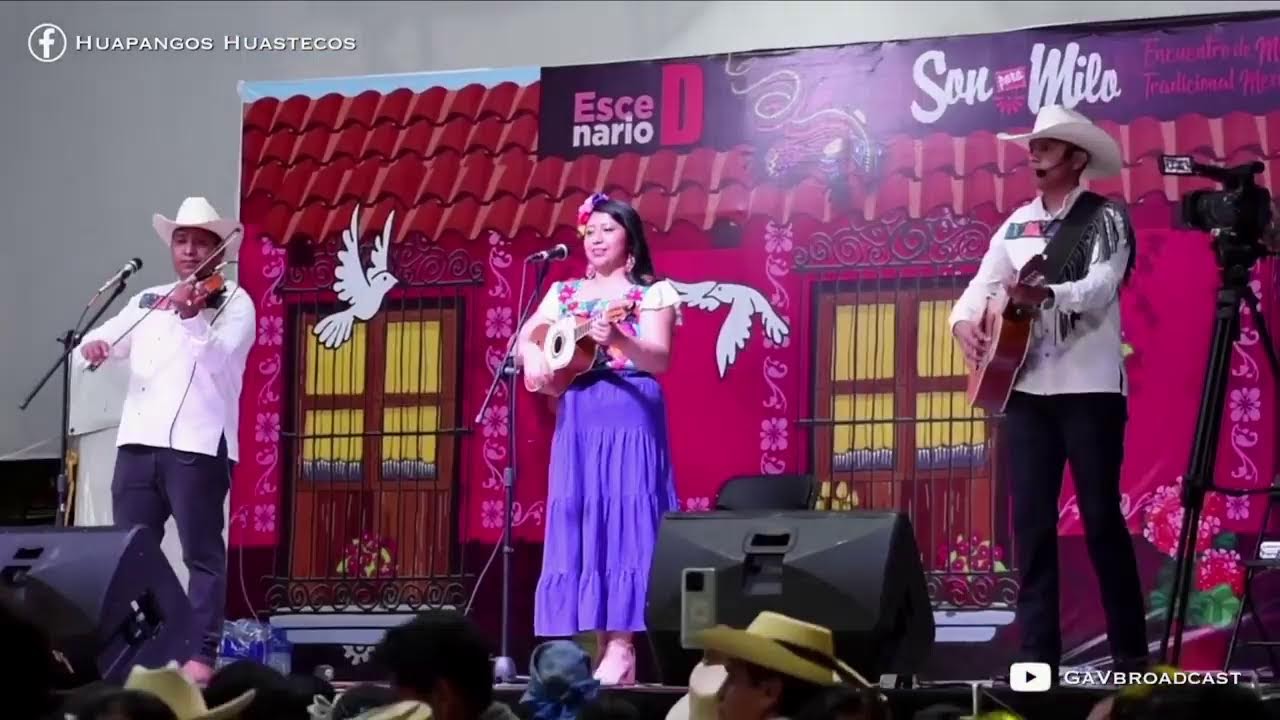 Un rato de Huapangos Huastecos!
