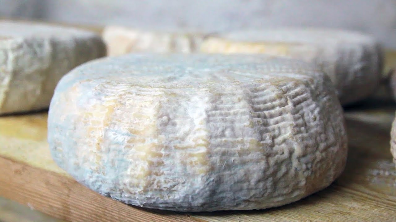 I Pastori di a Rocca (Corse-du-Sud) & Brocciu Fermier / La Communauté Des Fromages