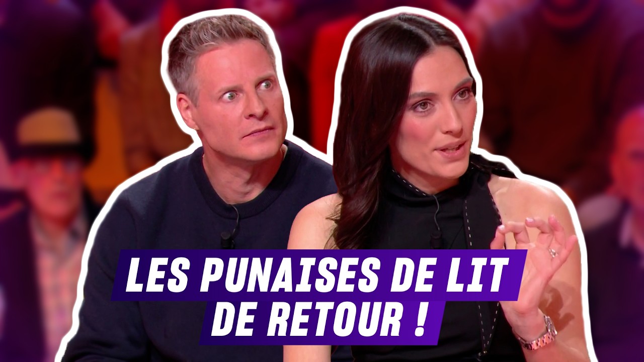 Attention : les punaises de lit sont de retour ! | TBT9