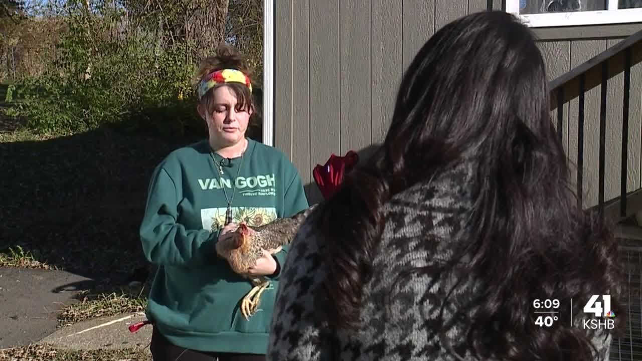 2 confirmed avian influenza cases put Kansas Department of Agriculture, farmers on high alert