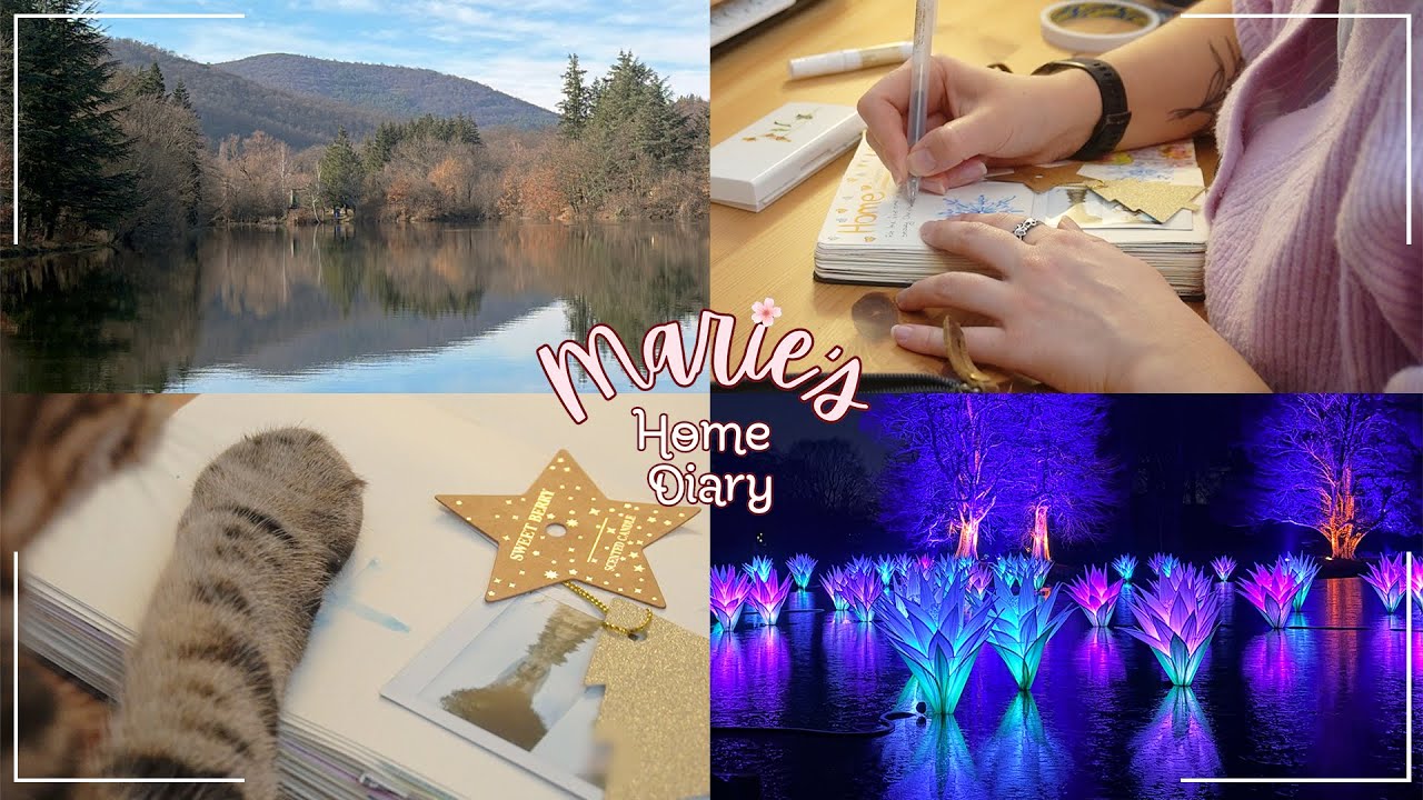 #85 🎀 | Winter travel journal | A cosy afternoon with my cat | Bulgaria holiday & Christmas at Kew