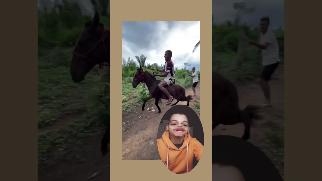 هتضحك يعني هتضحك مع اجمل الفيديوهات😂😂😂