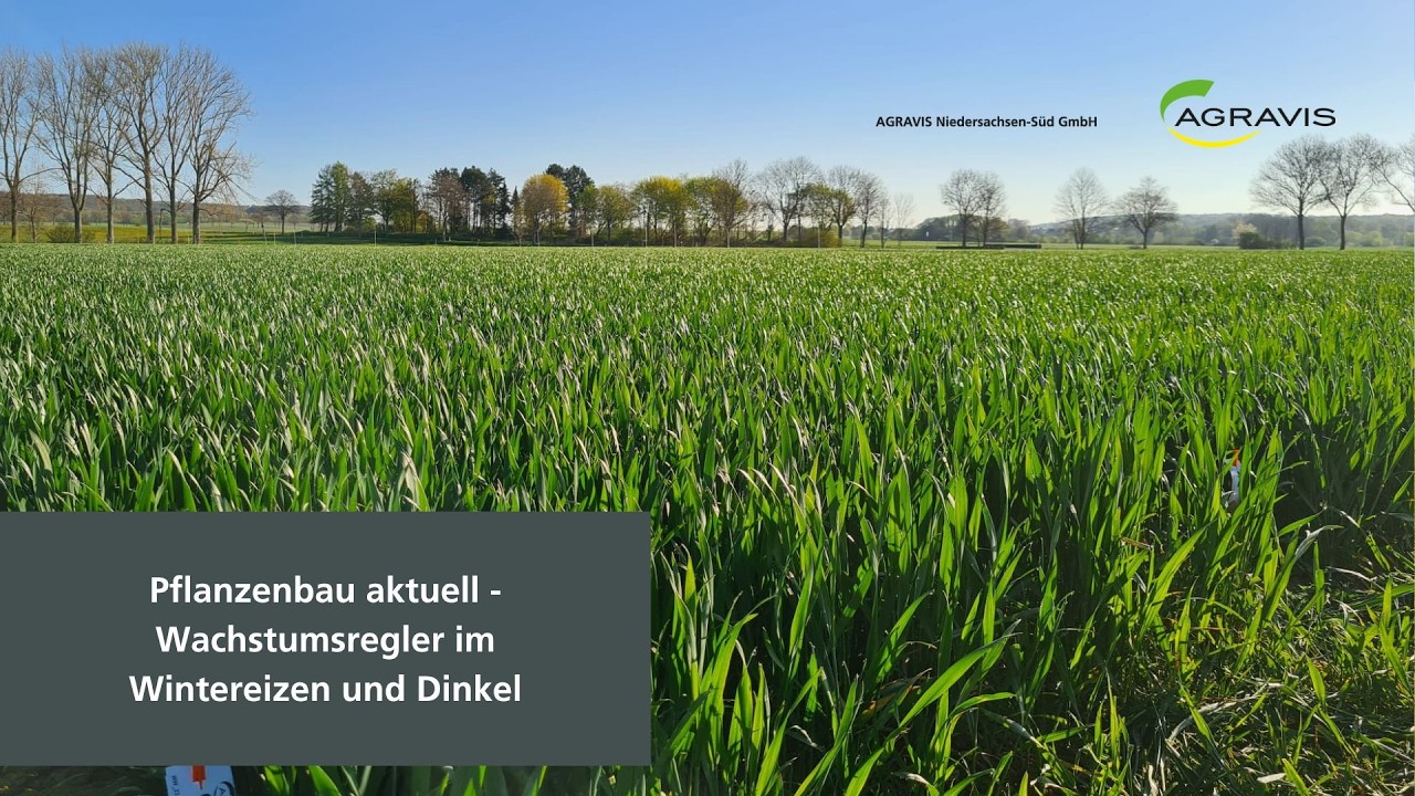 Pflanzenbau aktuell 01.04.2026