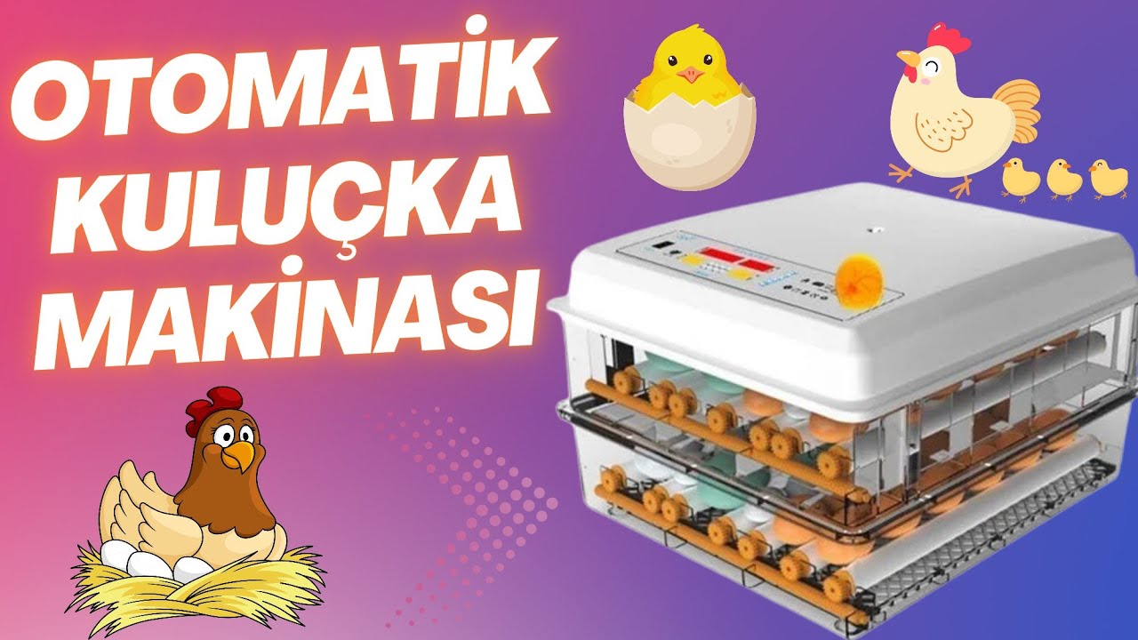 120'lik Tam Otomatik Kuluçka Makinası Kurulum ve Tanıtımı